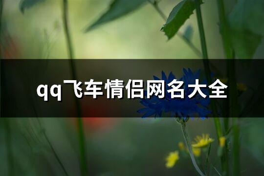 qq飞车情侣网名大全(70个)