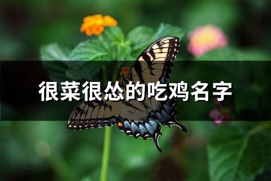 很菜很怂的吃鸡名字(183个)