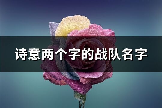 诗意两个字的战队名字(221个)