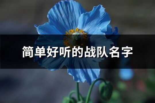 简单好听的战队名字(337个)