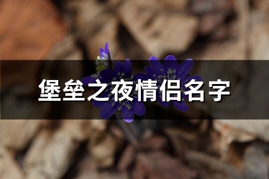 堡垒之夜情侣名字(优选88个)