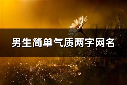 男生简单气质两字网名(优选720个)