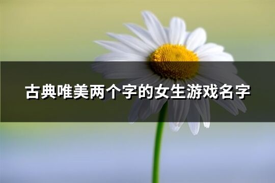 古典唯美两个字的女生游戏名字(438个)