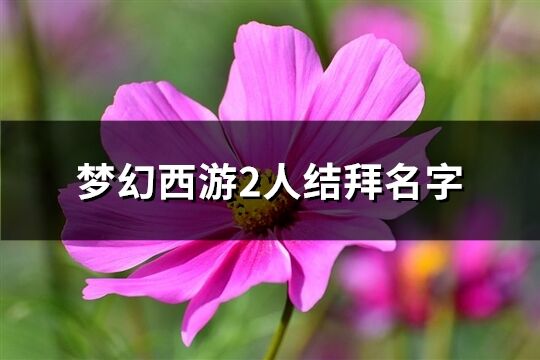 梦幻西游2人结拜名字(优选68个)