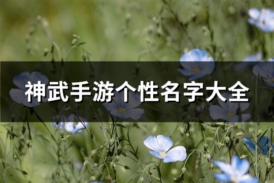 神武手游个性名字大全(精选336个)