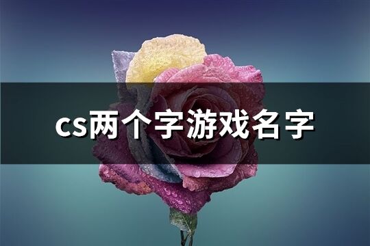 cs两个字游戏名字(共252个)