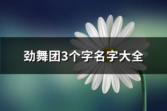 劲舞团3个字名字大全(673个)