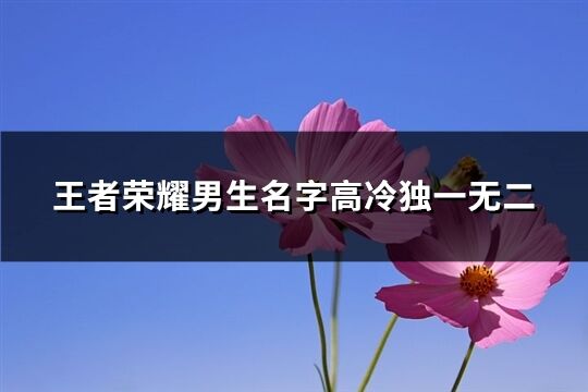 王者荣耀男生名字高冷独一无二(优选123个)