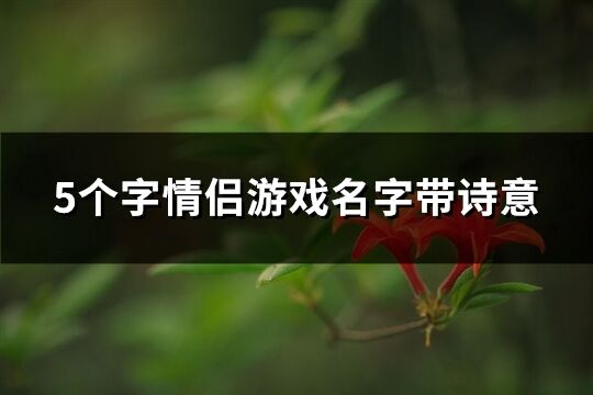 5个字情侣游戏名字带诗意(优选94个)