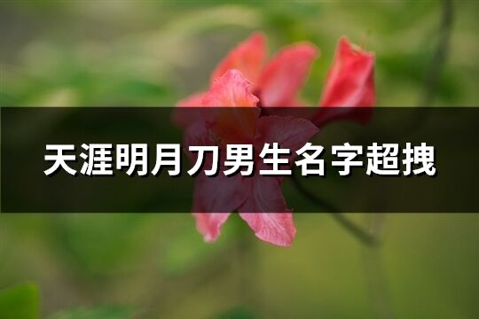 天涯明月刀男生名字超拽(精选346个)