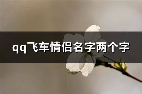 qq飞车情侣名字两个字(117个)