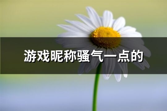 游戏昵称骚气一点的(149个)