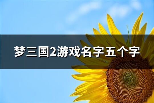 梦三国2游戏名字五个字(精选268个)