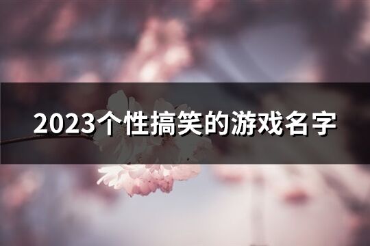 2023个性搞笑的游戏名字(精选291个)