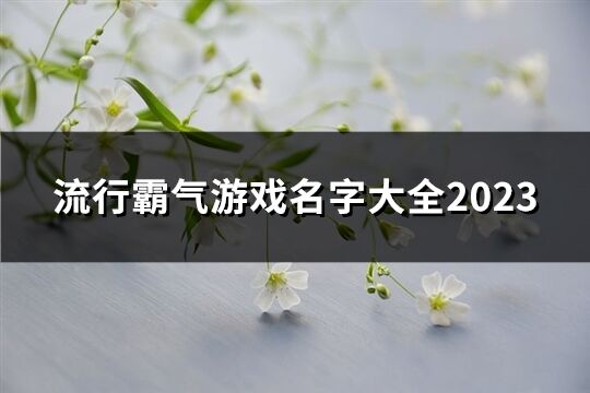 流行霸气游戏名字大全2023(共58个)