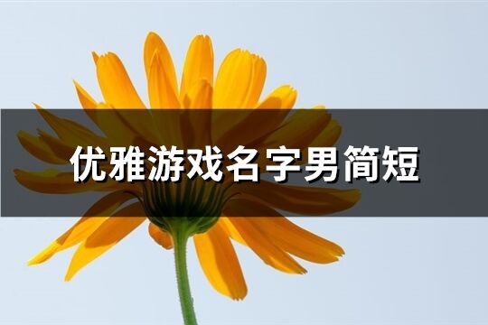 优雅游戏名字男简短(1100个)