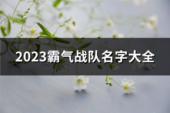 2023霸气战队名字大全(共196个)