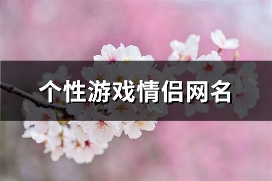 个性游戏情侣网名(共411个)