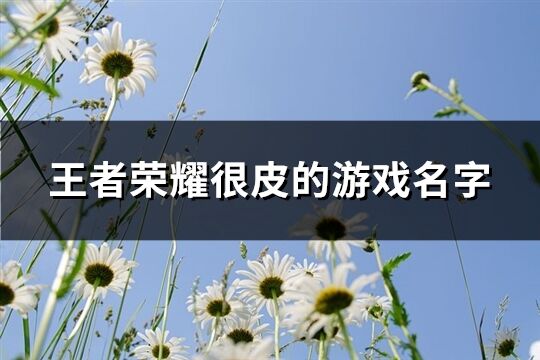 王者荣耀很皮的游戏名字(精选160个)