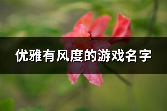 优雅有风度的游戏名字(优选248个)