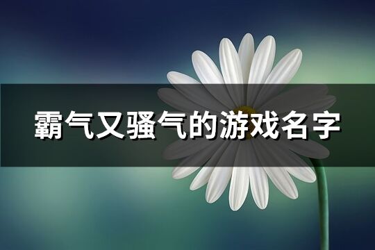 霸气又骚气的游戏名字(共166个)