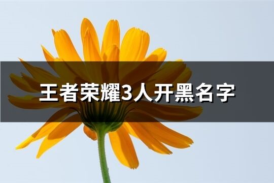 王者荣耀3人开黑名字(优选100个)