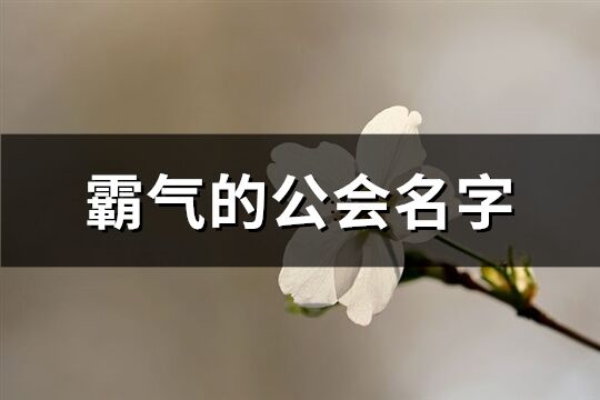 霸气的公会名字(精选478个)