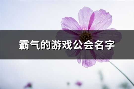 霸气的游戏公会名字(精选571个)