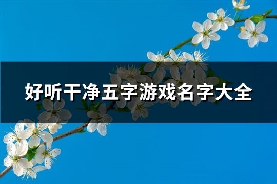 好听干净五字游戏名字大全(568个)