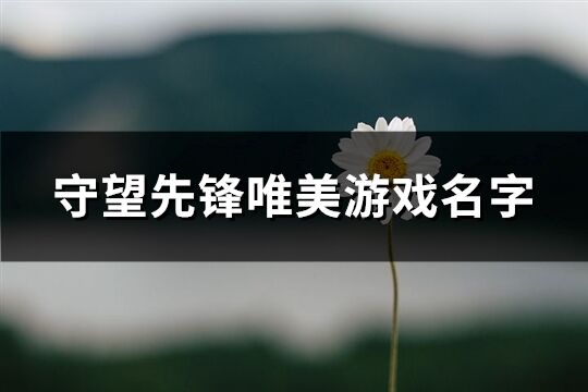 守望先锋唯美游戏名字(153个)