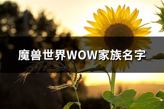 魔兽世界WOW家族名字(共125个)