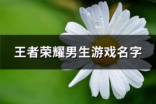 王者荣耀男生游戏名字(优选356个)