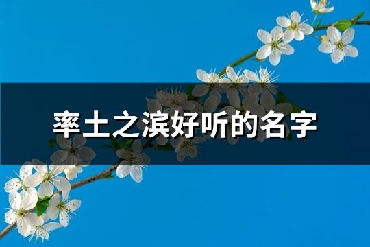 率土之滨好听的名字(共157个)