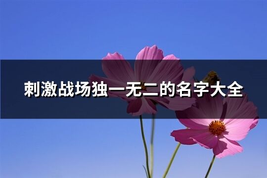 刺激战场独一无二的名字大全(326个)