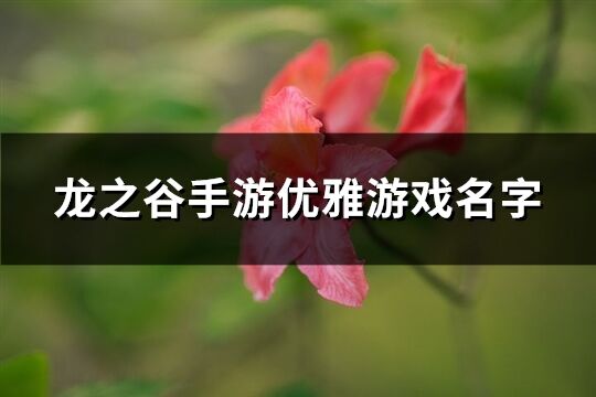 龙之谷手游优雅游戏名字(优选317个)