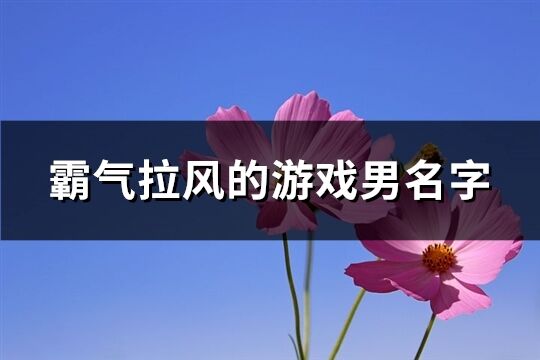 霸气拉风的游戏男名字(共587个)