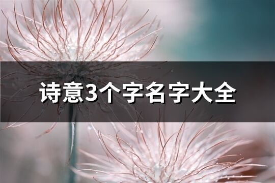 诗意3个字名字大全(精选830个)