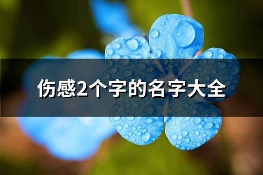 伤感2个字的名字大全(共791个)