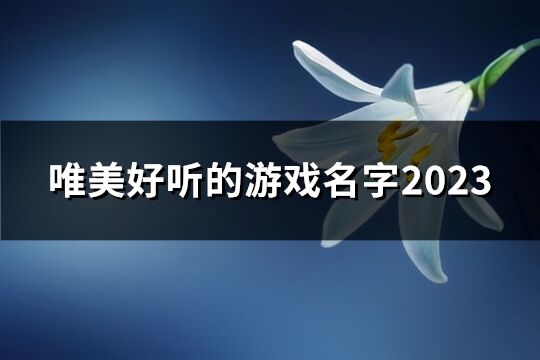 唯美好听的游戏名字2023(精选57个)