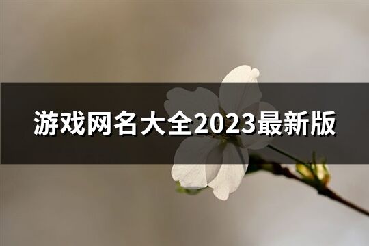 游戏网名大全2023最新版(优选416个)