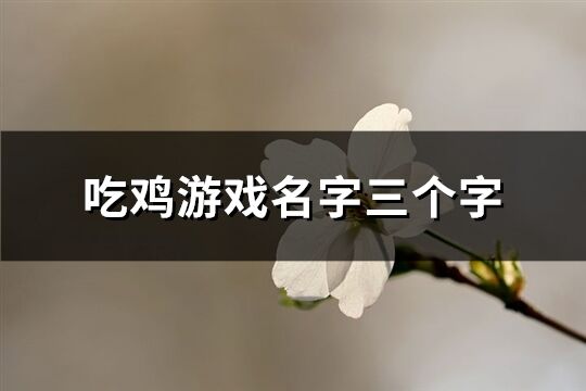 吃鸡游戏名字三个字(精选760个)