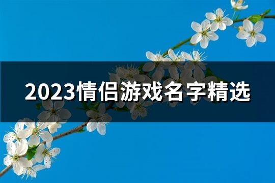 2023情侣游戏名字精选(共345个)