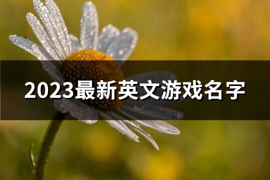 2023最新英文游戏名字(精选230个)