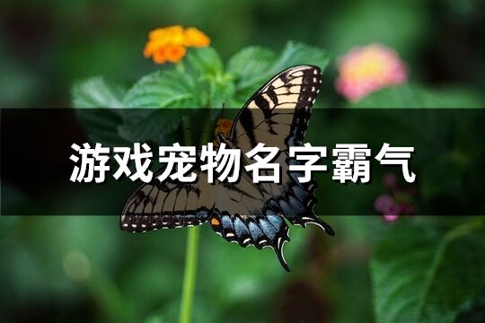 游戏宠物名字霸气(精选416个)