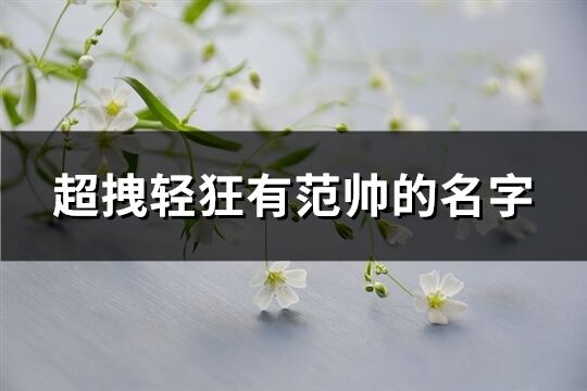 超拽轻狂有范帅的名字(优选434个)