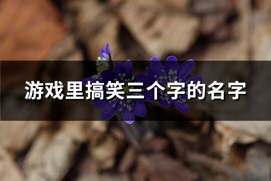 游戏里搞笑三个字的名字(优选176个)