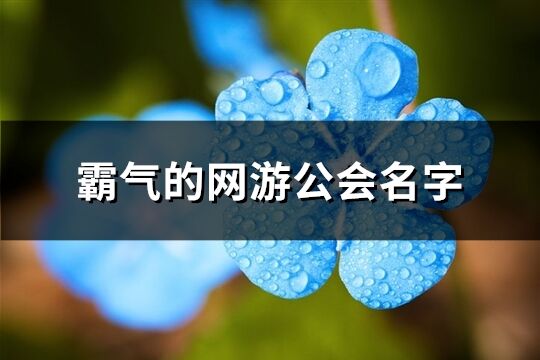 霸气的网游公会名字(优选530个)