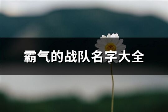 霸气的战队名字大全(优选70个)