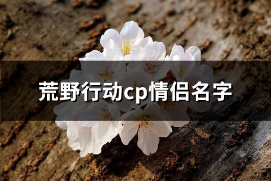 荒野行动cp情侣名字(236个)