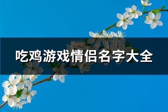 吃鸡游戏情侣名字大全(共72个)